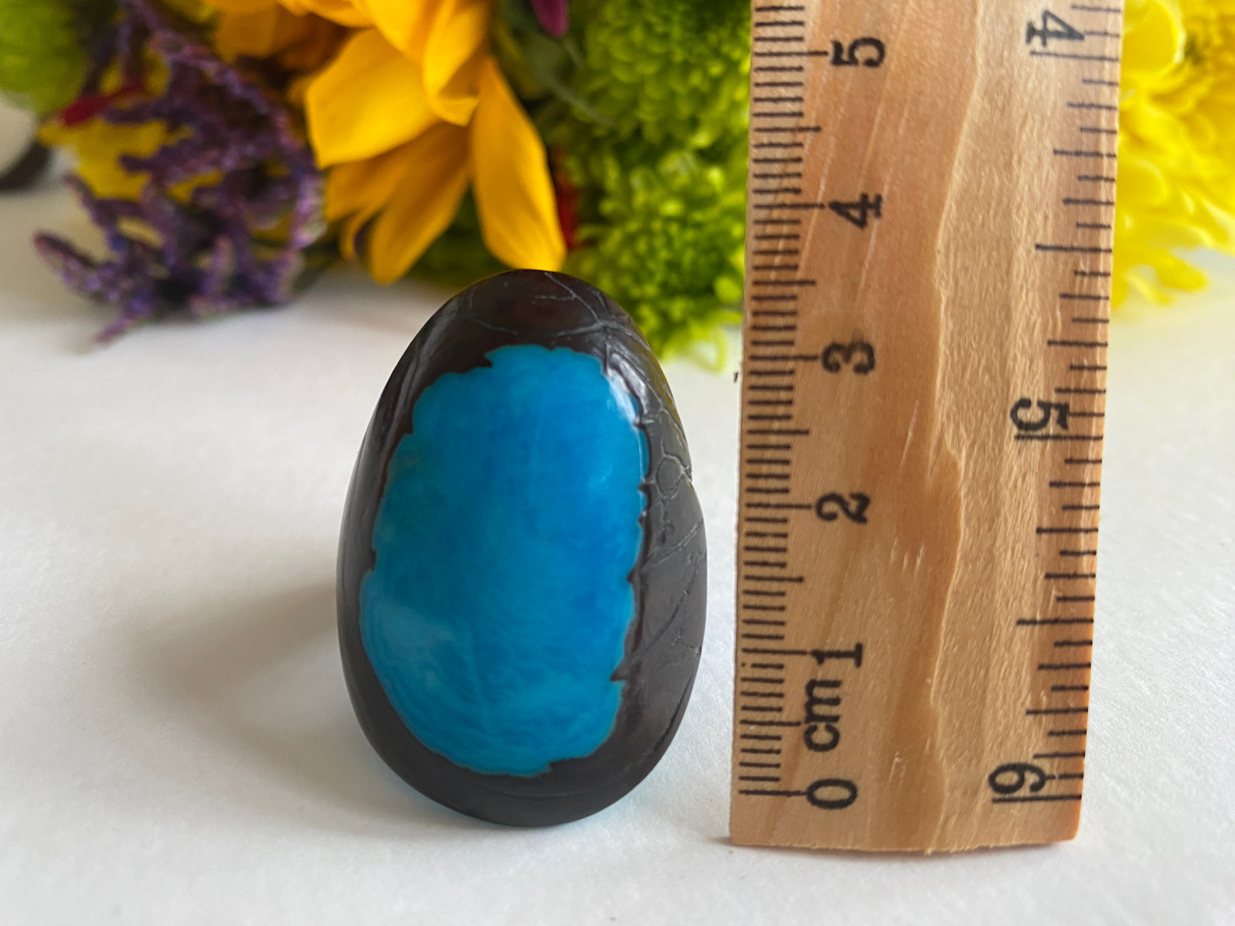 Blue Tagua Seed Ring